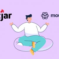 Hotjar vs Mouseflow: which one to choose?